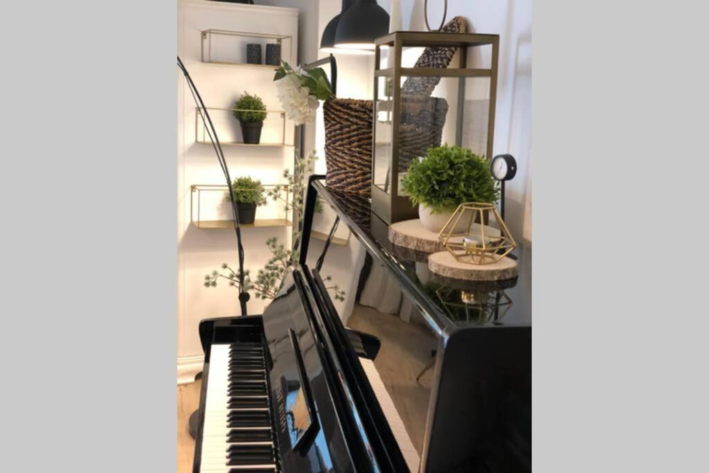 דירות Bistriţa Viv Central Apart-Studio מראה חיצוני תמונה